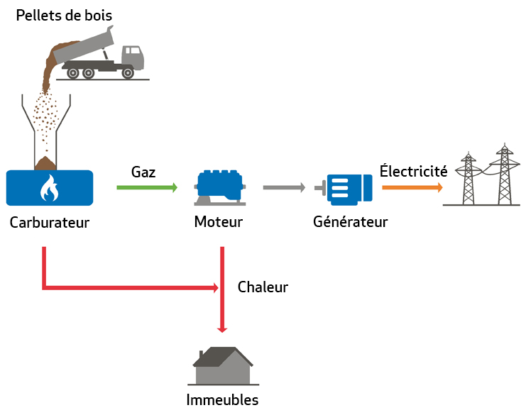 biomasse