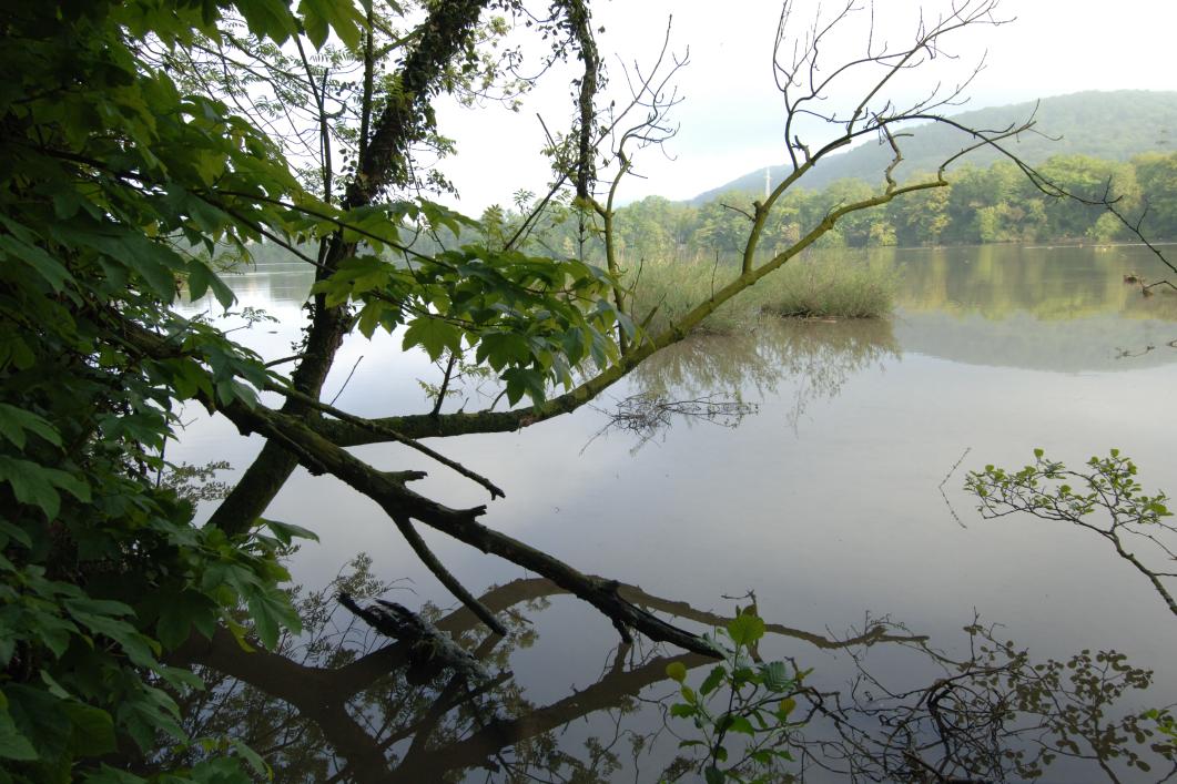 Natur